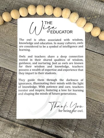 Wooden The Wise Educator Owl Ornament, Teacher Ornament, Educator Gift, Car Charm, Teacher-Student Bond Gift, Story Ornament