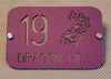 Dragon Fly House Number, House Number Sign, Door Sign, Door Number, Modern, Acrylic, House Name, Address Sign, First Home,